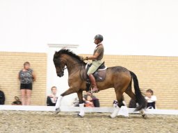 IMG_1574_web